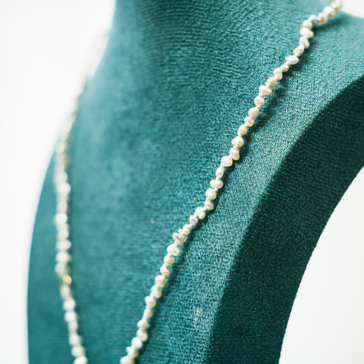 《Collaboration》Flor de granado
